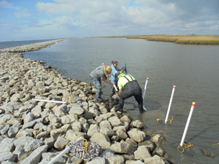 shore restoration
